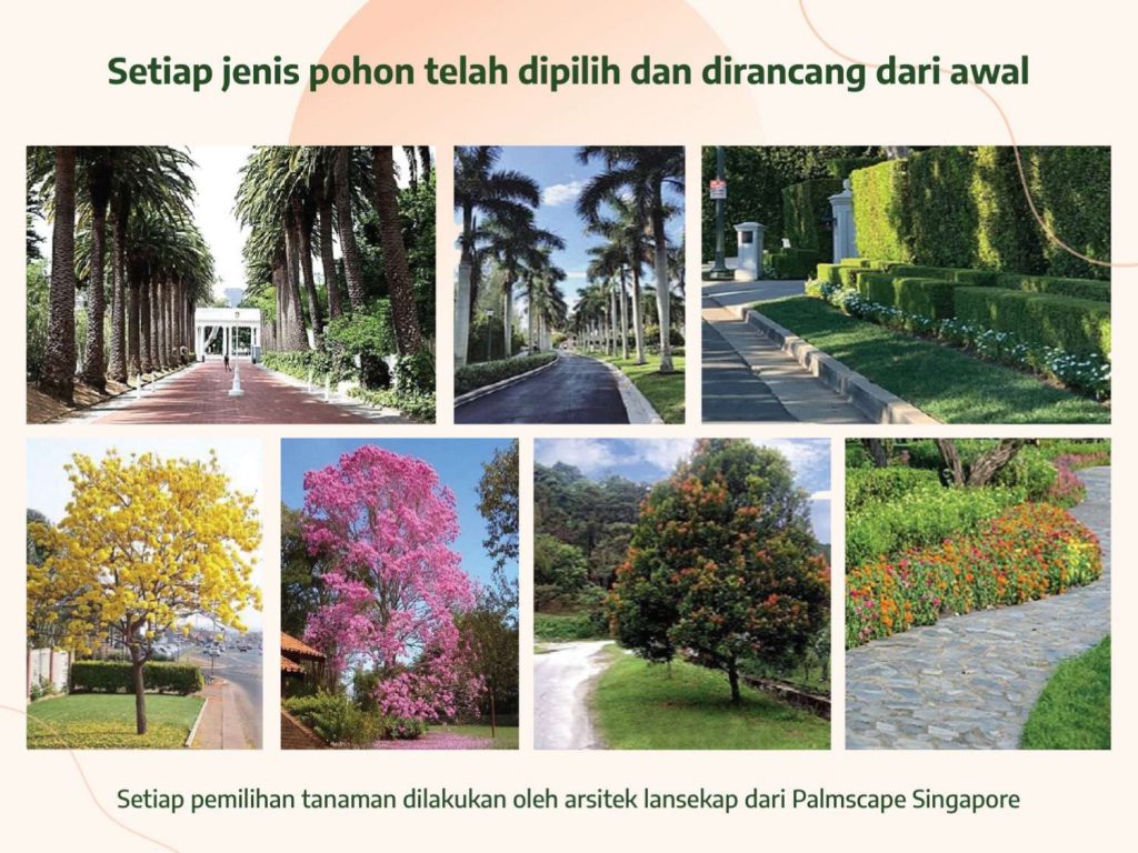 Cluster Magnolia_page-0013